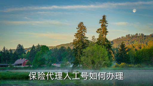 保險代理人工號如何辦理