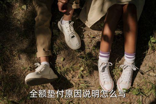 全額墊付說明怎么寫，如何寫向保險公司墊付申請報告