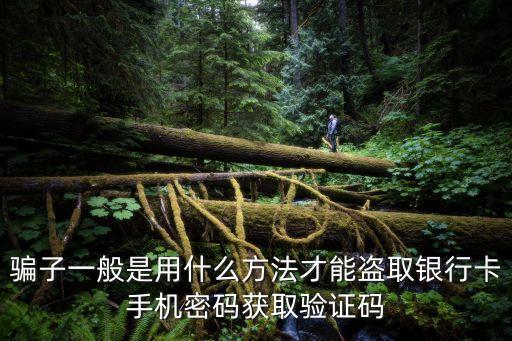 騙子怎么套取銀行密碼，騙子一般是用什么方法才能盜取銀行卡手機(jī)密碼獲取驗(yàn)證碼