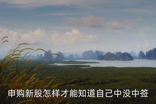 新股怎么查詢是否中簽，申購新股怎樣才能知道自己中沒中簽