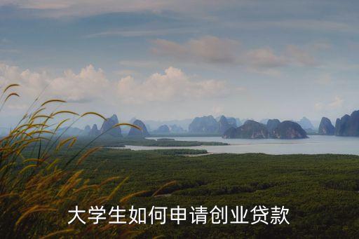 在校大學(xué)生創(chuàng)業(yè)借貸怎么貸，大學(xué)生創(chuàng)業(yè)貸款的貸款申請流程