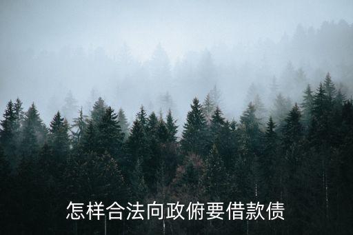 怎么向政府借貸，怎樣合法向政俯要借款債