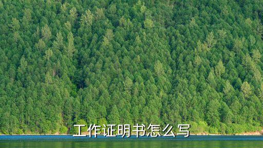 比亞迪工作證明怎么寫(xiě)，工作證明怎么寫(xiě)