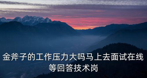 金斧子 工作怎么樣，深圳金斧子Java工程師的薪酬大家有了解的嗎3年經(jīng)驗(yàn)?zāi)沁呉话憬o