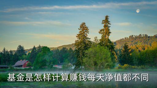 基金每天收益怎么算，基金是怎樣計(jì)算賺錢每天凈值都不同