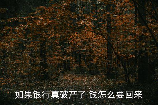 如果銀行真破產(chǎn)了 錢怎么要回來