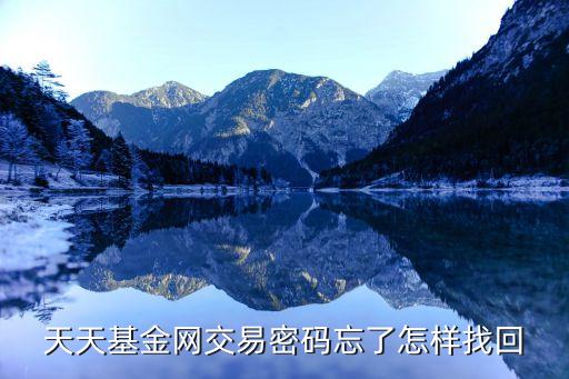 天天基金網(wǎng)交易密碼忘了怎樣找回