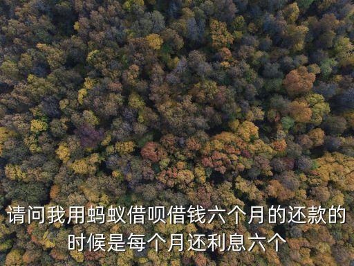 請問我用螞蟻借唄借錢六個月的還款的時候是每個月還利息六個