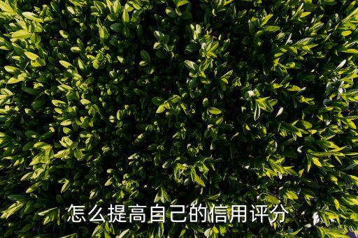 個人信用等級怎么升，怎么提高自己的信用評分
