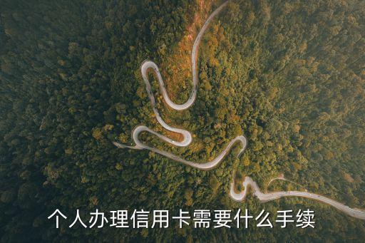 私人辦理信用卡怎么辦理，個(gè)人如何申領(lǐng)信用卡簡(jiǎn)練些總結(jié)一下