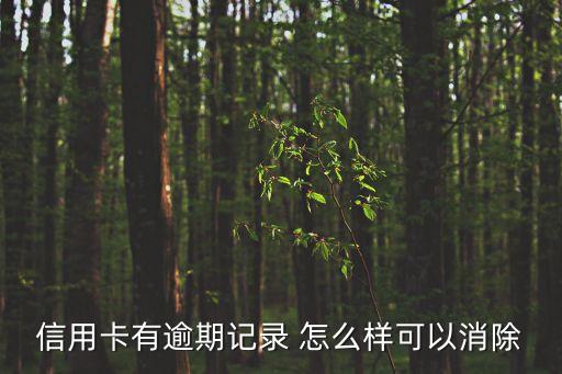 信用卡有逾期記錄 怎么樣可以消除