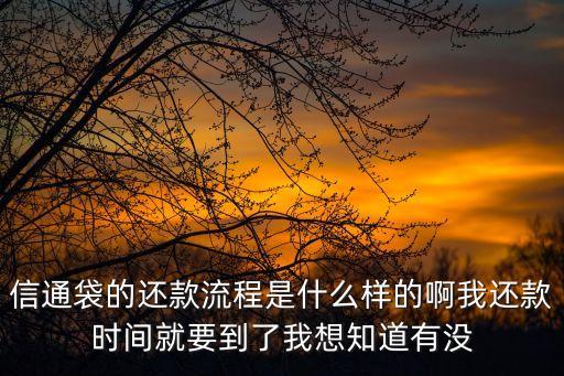 信通袋的還款流程是什么樣的啊我還款時(shí)間就要到了我想知道有沒