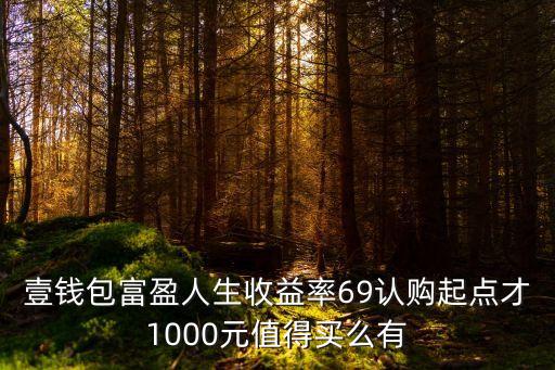 壹錢(qián)包富盈人生收益率69認(rèn)購(gòu)起點(diǎn)才1000元值得買(mǎi)么有