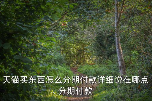 天貓買東西怎么分期付款詳細(xì)說在哪點分期付款