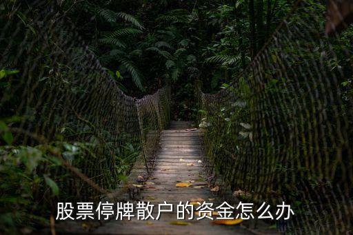 股票停牌散戶的資金怎么辦