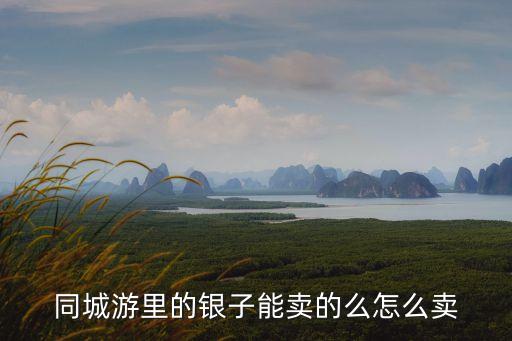 德銀怎么賣的，一般市場上銀手鐲怎么賣的