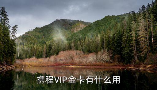 攜程VIP金卡有什么用