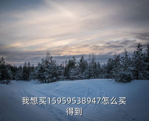 519898怎么買，我想買個QQ12345678大概多少錢還有怎么買