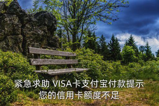 visa卡5000不夠怎么辦，visa信用卡額度不夠去美國前想先存些錢進去想問存美金還是人民