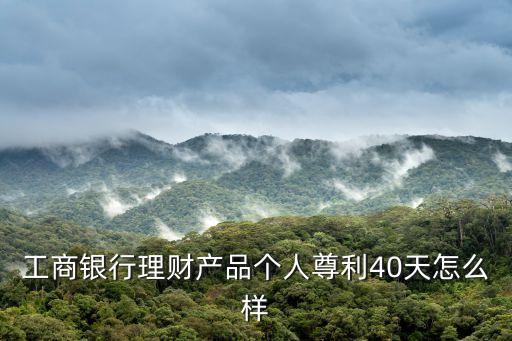 工商銀行理財(cái)產(chǎn)品個(gè)人尊利40天怎么樣