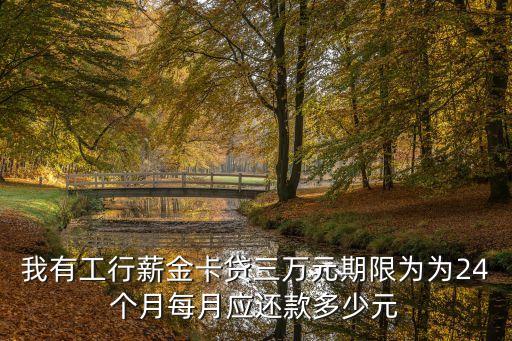 工行薪金卡利息怎么算，我有工行薪金卡貸三萬元期限為為24個月每月應還款多少元