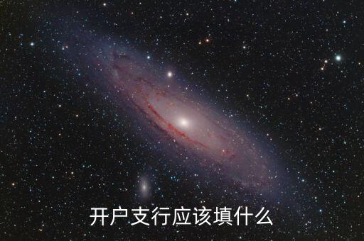 開戶支行應該填什么