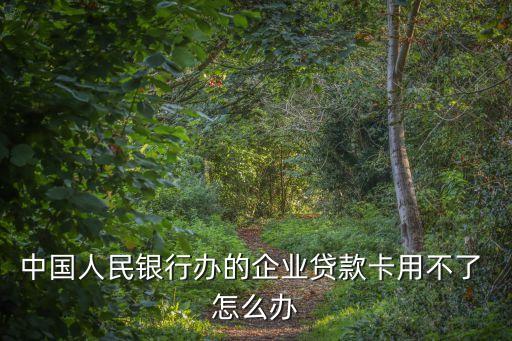 中國(guó)人民銀行辦的企業(yè)貸款卡用不了 怎么辦