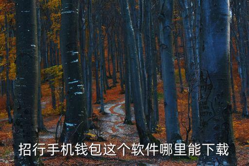 招行手機(jī)錢包這個(gè)軟件哪里能下載