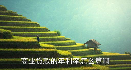 商業(yè)貸款利息怎么算，商業(yè)貸款的年利率怎么算啊