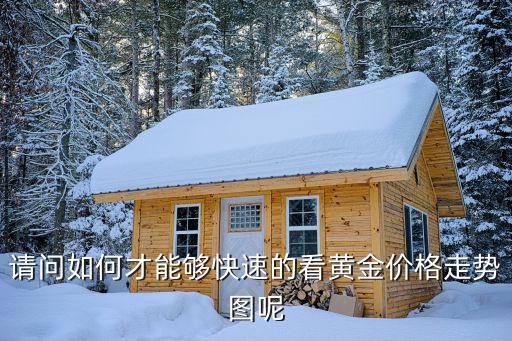 怎么看金價，如何了解國際黃金價格