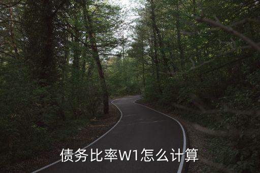 債務(wù)比率W1怎么計(jì)算