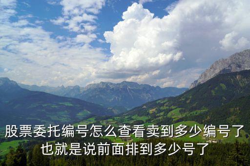 股票委托編號怎么查看賣到多少編號了也就是說前面排到多少號了