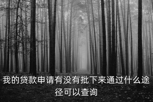 怎么查翼龍貸款批沒(méi)批，購(gòu)車(chē)貸款批沒(méi)批怎么查詢(xún)