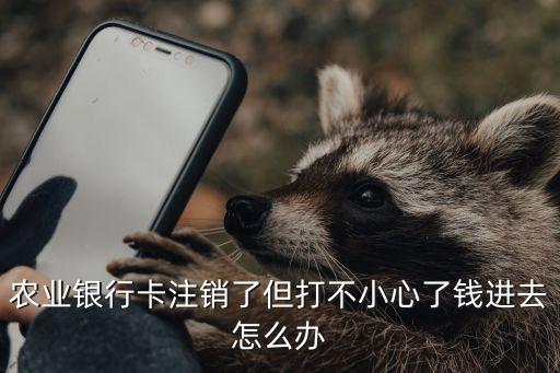 農(nóng)業(yè)銀行卡注銷了但打不小心了錢進(jìn)去怎么辦