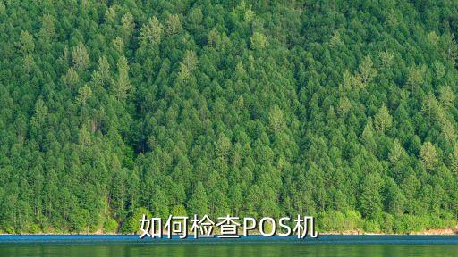 怎么能查到pos機，兩年內的pos機交易明細能查到嗎