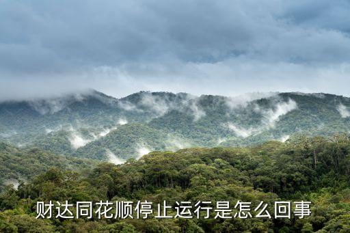 財達同花順停止運行是怎么回事