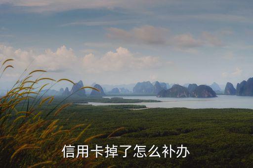 信用卡掉了怎么補(bǔ)辦