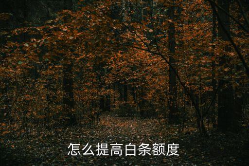 同程白條怎么提額，程程白條怎么提額
