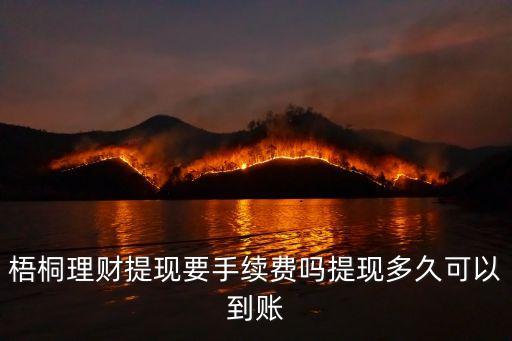 梧桐理財(cái)怎么提現(xiàn)，梧桐理財(cái)提現(xiàn)怎么提