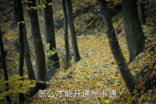 全國(guó)一卡通怎么辦理，一卡通怎么開(kāi)