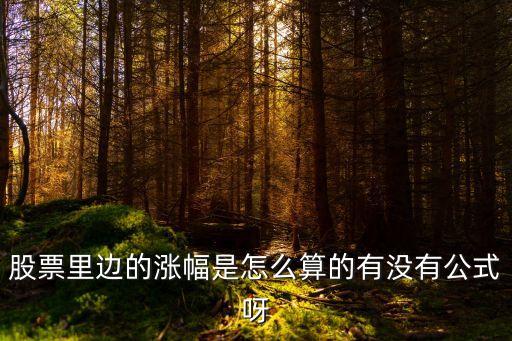 個股漲幅怎么算，股票里邊的漲幅是怎么算的有沒有公式呀