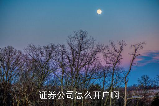 證券公司怎么開戶啊
