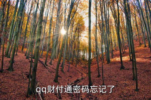 不知道QQ財(cái)付通密碼怎么辦，QQ的財(cái)富通密碼忘記了怎么辦