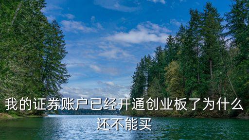 我的證券賬戶已經(jīng)開通創(chuàng)業(yè)板了為什么還不能買