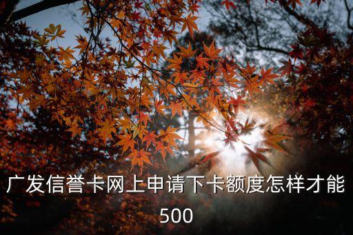 廣發(fā)信譽(yù)卡網(wǎng)上申請下卡額度怎樣才能500