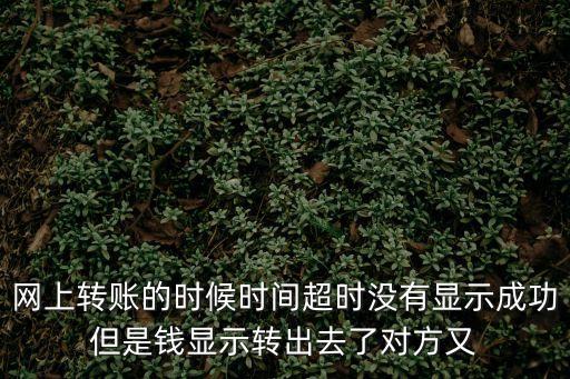 網(wǎng)上轉(zhuǎn)賬的時(shí)候時(shí)間超時(shí)沒(méi)有顯示成功但是錢(qián)顯示轉(zhuǎn)出去了對(duì)方又