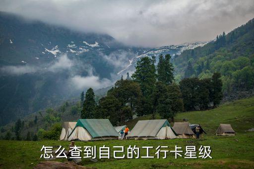 怎么查到自己的工行卡星級