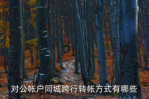 跨行對(duì)公轉(zhuǎn)賬怎么轉(zhuǎn)賬，同城跨行公對(duì)公轉(zhuǎn)賬怎么轉(zhuǎn)