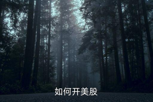 如何開美股