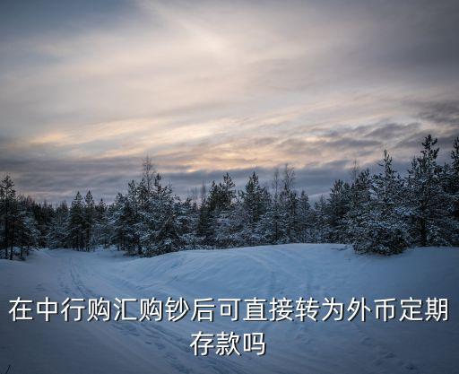 購(gòu)匯后怎么使用，兌換后要怎么用呢